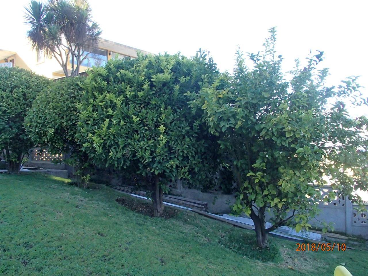Hotel Camino Del Alto Vina del Mar Eksteriør billede